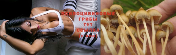 метадон Аркадак