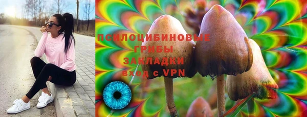 метадон Аркадак