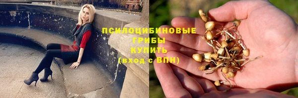 метадон Аркадак