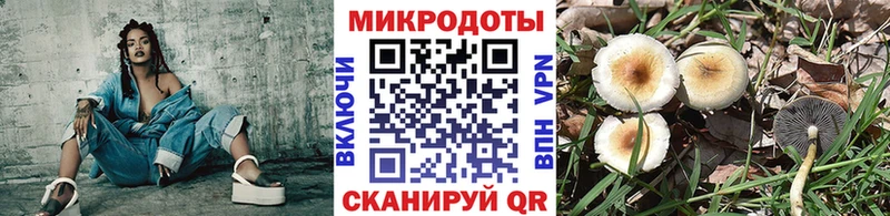 Псилоцибиновые грибы GOLDEN TEACHER  наркота  Сим 